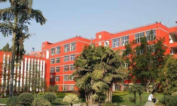 江苏睢宁中等专业学校2020年有哪些专业