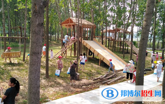徐州爱尔国际学校怎么样、好不好