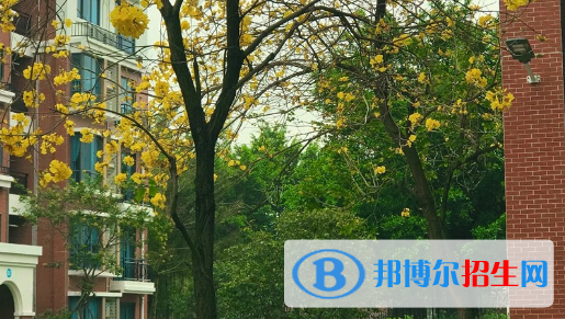 广东碧桂园职业学院2020年学费、收费多少