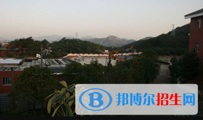 浙江金华比德弗国际学校网站网址