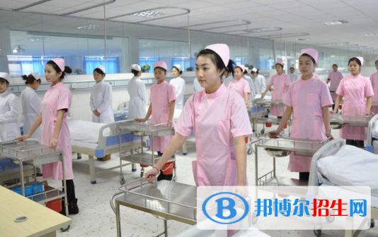 广东2020年女生上卫校学什么专业好