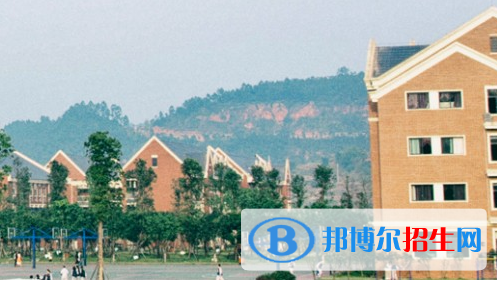 宜宾天立国际学校小学部2020年学费、收费多少