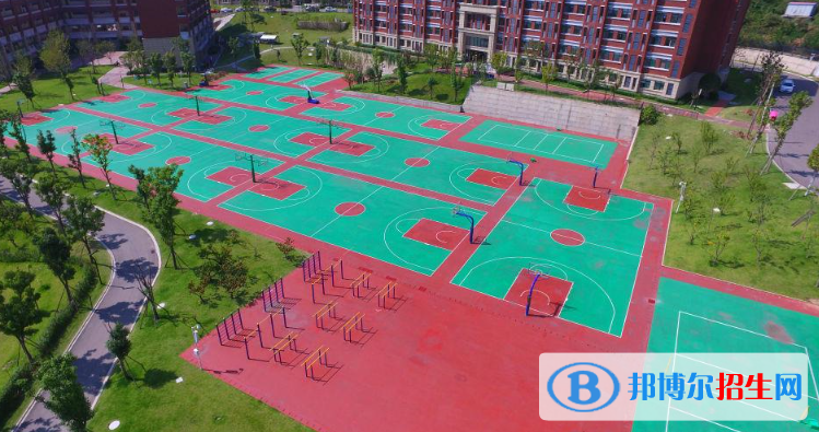 广元天立国际学校小学部网站网址