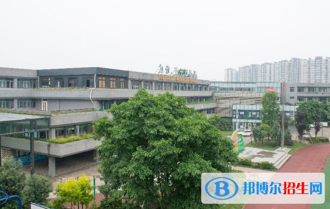 成都同辉国际学校2020年招生计划