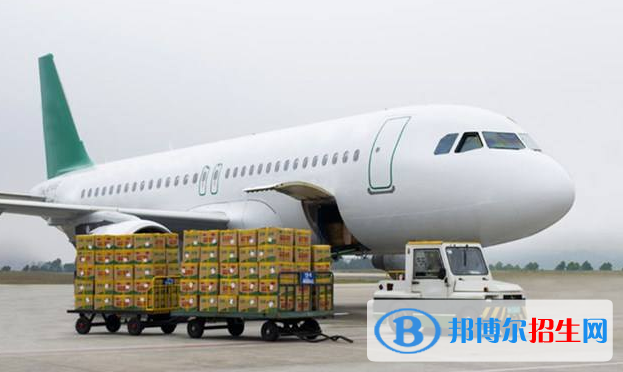 湖北2020年男生上航空服务学校学什么专业好