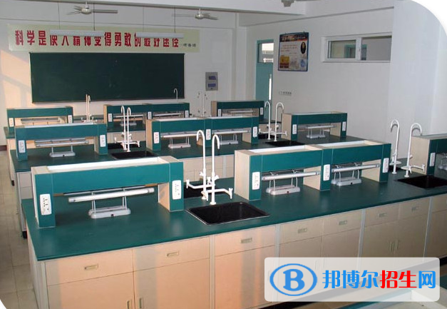 石家庄第十七中学网站网址 