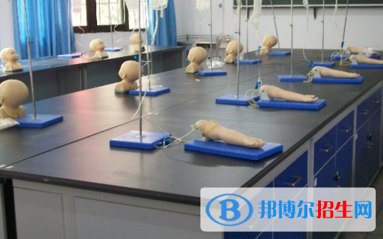 广东2020年哪个卫校就业好