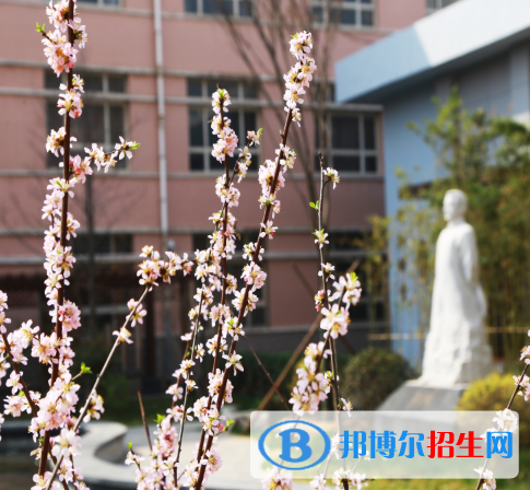 河北师范大学附属中学2020年招生代码