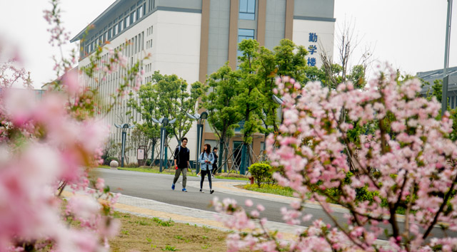 江苏2020年哪所卫校比较好就业