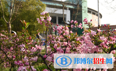 南京师范大学附属中学江宁分校2022年招生计划