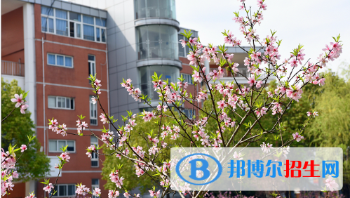 南京师范大学附属中学江宁分校2021年招生代码