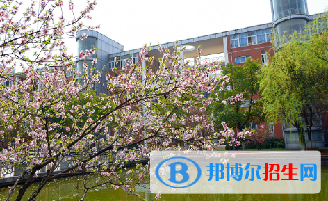 南京师范大学附属中学江宁分校2021年学费、收费多少
