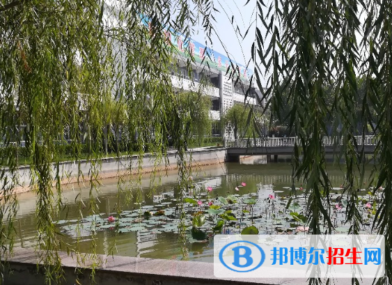 邢台威县第一中学网站网址