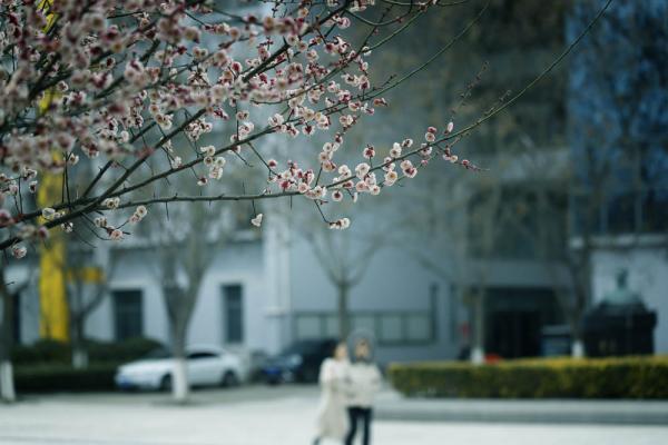 盐城幼儿师范高等专科学校怎么样、好不好