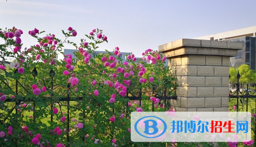 安庆职业技术学院2021年有哪些专业