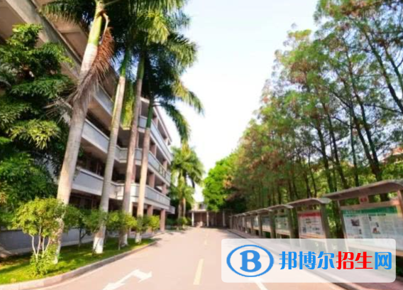 广州第八十中学网站网址 