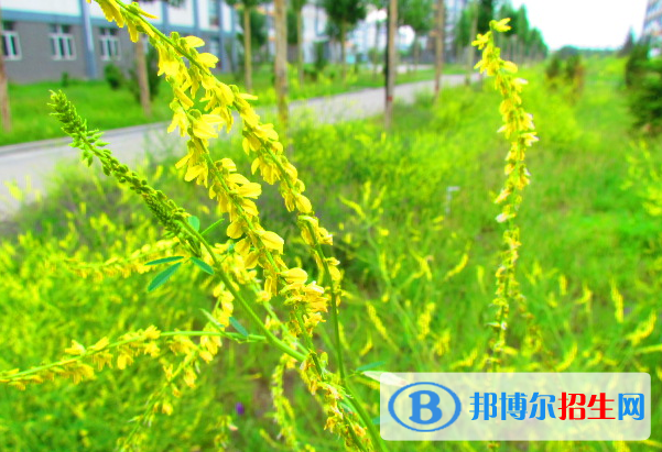 张北县第一中学2021年怎么样、好不好