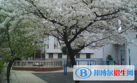 南京第九中学震旦校区2021年招生代码