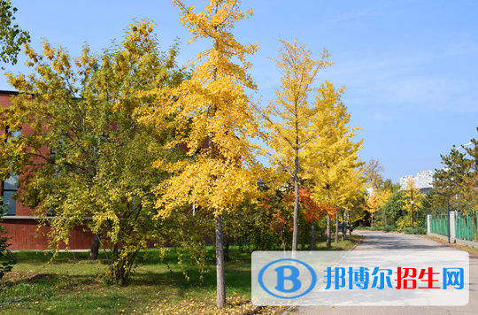 河北承德第一中学网站网址