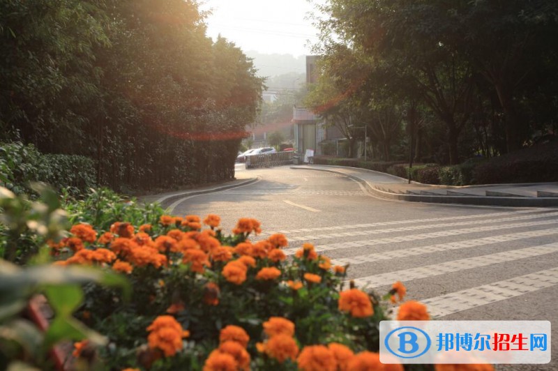 重庆2021年哪个幼师学校比较好
