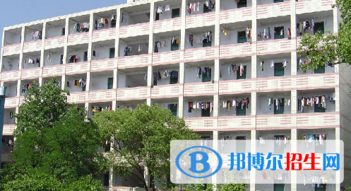 11截图_20201029094414