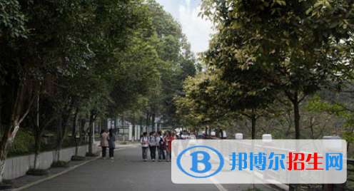11截图_20201029094414