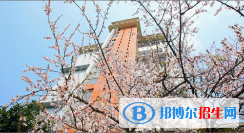 11截图_20201029094414