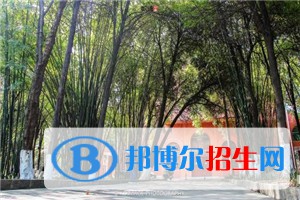 贵阳英才学校2021年招生录取分数线