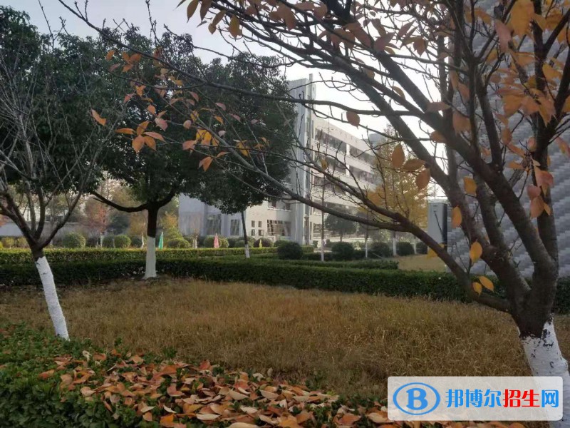 合肥公交技工学校2021年招生录取分数线