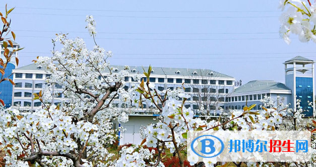 宿州职业技术学院2021年招生简章