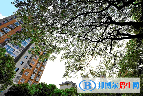 QQ截图20201029085139
