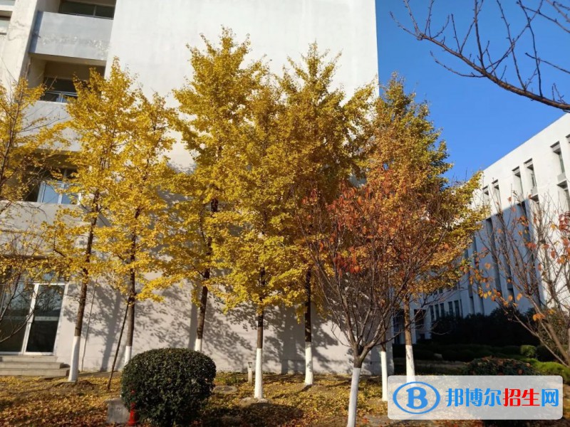 安徽省宿州逸夫师范学校怎么样、好不好