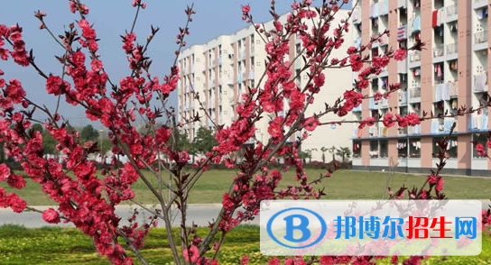 皖西卫生职业学院2021年有哪些专业