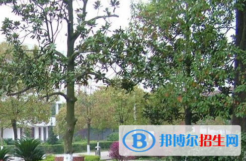 浙江2021年初中生直接读中专