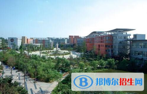 职业4