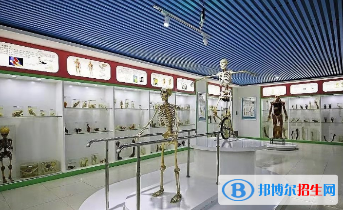 兰州2021年什么卫校就业最好