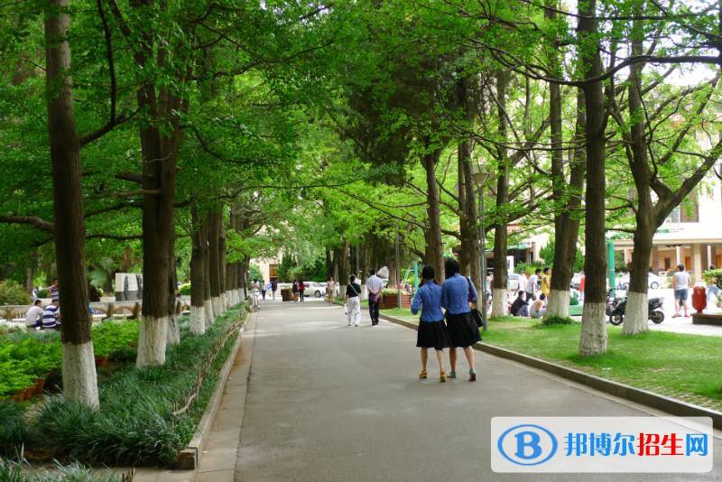 重庆2022年哪些大学有护理学校大专