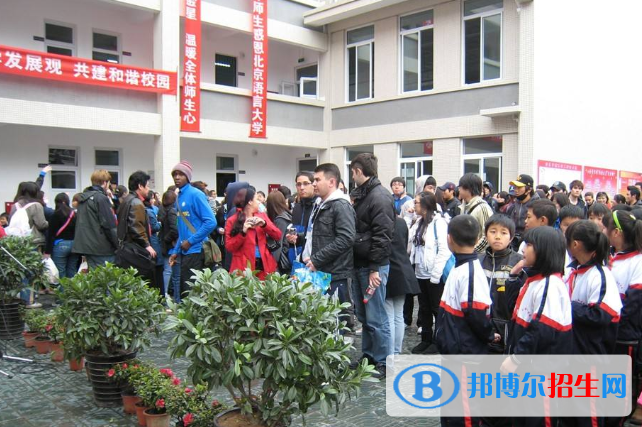 大邑金星学校网站网址 