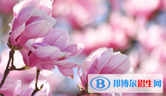 温州艺术职业学校