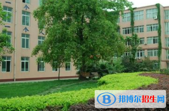 成都第十四中学网站网址 