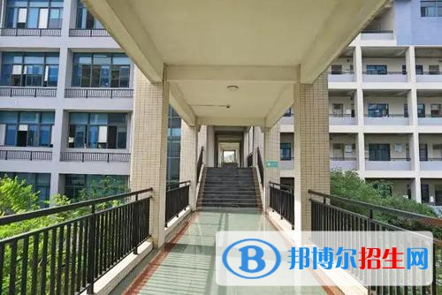 广东2021年初中毕业读中专好吗