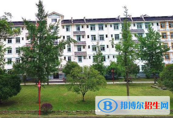 都江堰石羊镇中学网站网址 