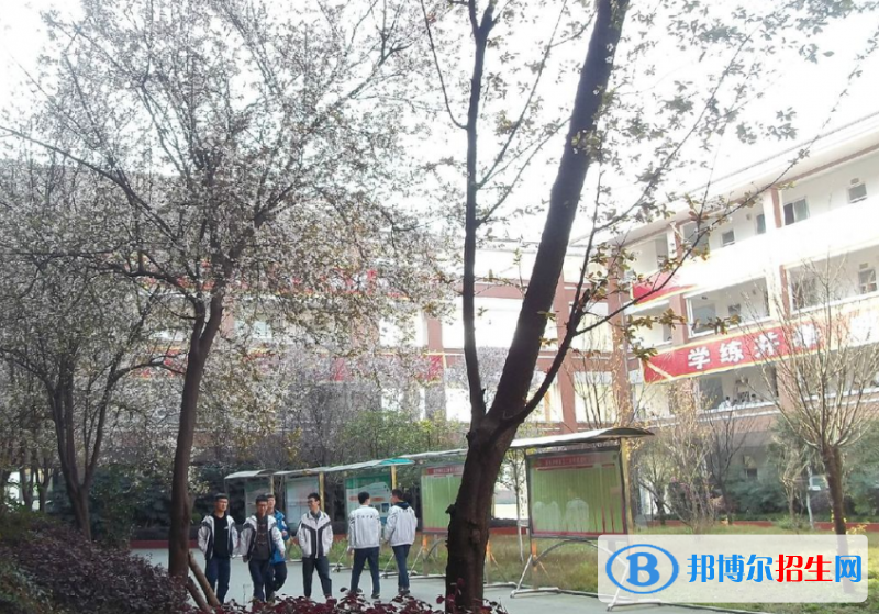 大邑新场镇学校2021年排名