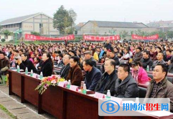 大邑新场镇学校网站网址 