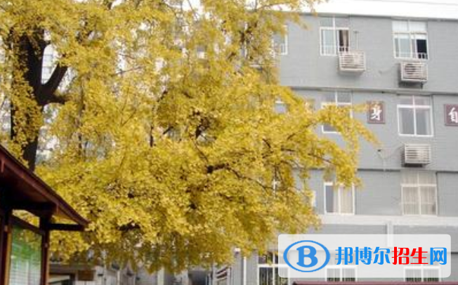 成都石室联合中学网站网址 