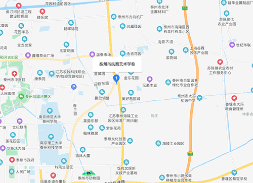 泰州市凤凰艺术学校地址在哪里