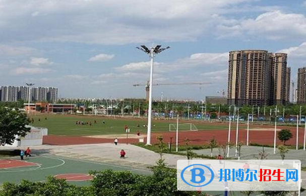 成都川化中学网站网址 