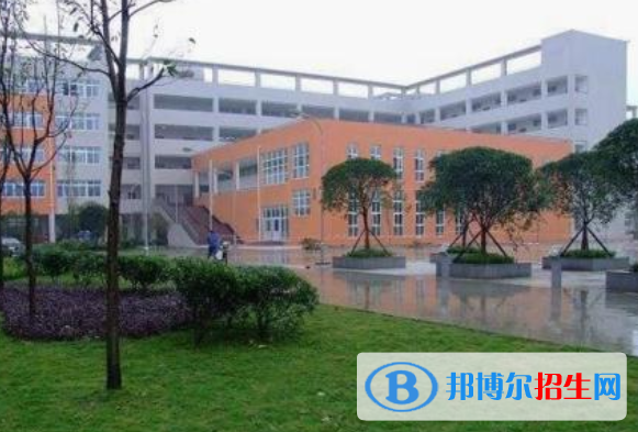 乐至县大佛中学网站网址 