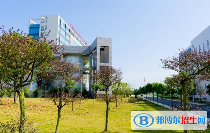 华新4