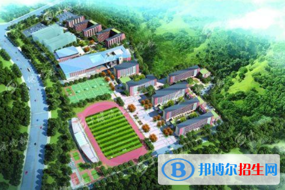 柳林实验中学网站网址 